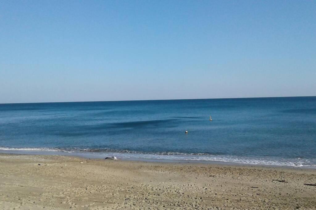 Larte Al Mare Vicino Spiaggia Con Ac E Wifi Leilighet Savona Eksteriør bilde
